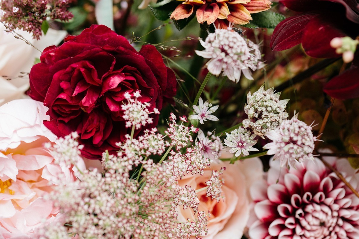 seasonal autumn flowers